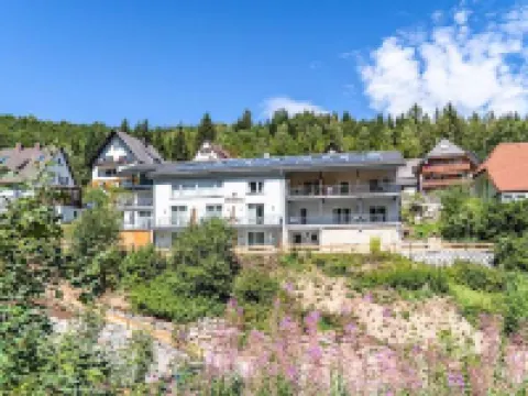 斯圖布朗根巴赫 蒂蒂湖-新城酒店