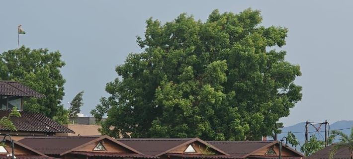 Nirvana Resort and Restaurant Hotels in Narmada