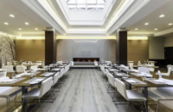 Hotel ILUNION Suites Madrid