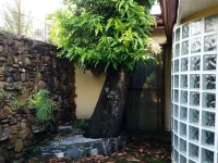 Regency Plaza Tourist Inn