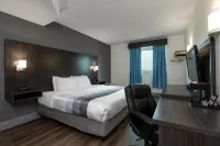 Comfort Hotel - Pet friendly