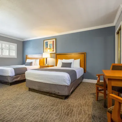 Soma Park Inn Отели рядом с достопримечательностью «Собор Грейс»