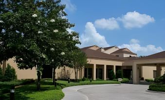 Courtyard Baton Rouge Acadian Centre/LSU Area