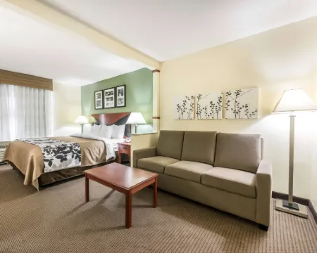 スリープ イン & スイーツ ユニバーシティ / シャンズ ゲーンズビルのホテル