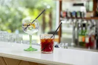 Hotel Holiday Sport & Relax - bar
