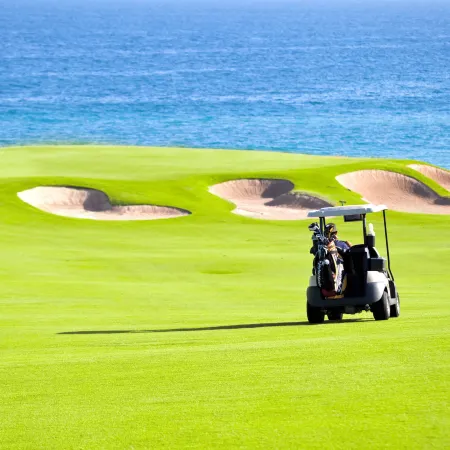 JW Marriott Los Cabos Beach Resort & Spa