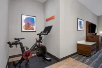 Hampton Inn & Suites Muncie - gimnasio