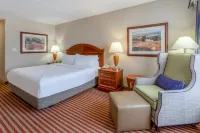 Hilton Garden Inn Richmond South/Southpark Hotels in Colonial Heights