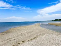 Hampton's Indulge: Beaches, Restaurants, wineries, Breweries and Night Life.