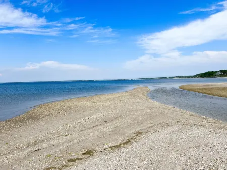 Hampton's Indulge: Beaches, Restaurants, wineries, Breweries and Night Life.