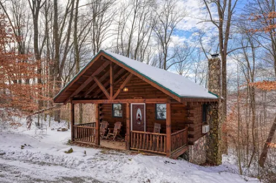 Bear Hugs cabin nestled in the woods.