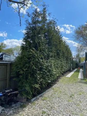 COZY PLACE and FIRE PIT