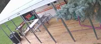 "Hippie House" "1974" Winnebago29' Chieftain