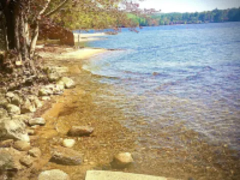 Studio #1  Cottage by Newfound Lake with shared private sandy beach Hotels in Bristol