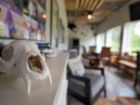 Trailride Hideout 芒廷酒店