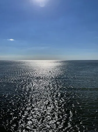 Vacation apartment "Salzwiese" between village and bath - newly renovated Отели рядом с достопримечательностью «Sankt Peter Ording Beach»