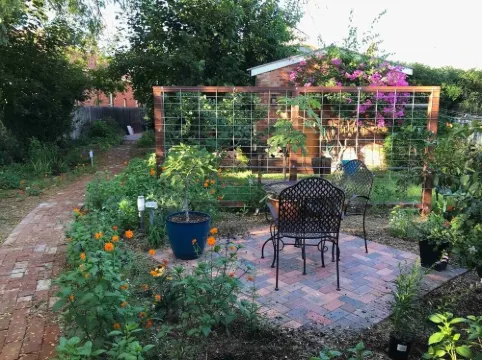 CBD luxury - near cafes, parks & art. Free bikes