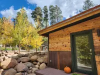Spacious new guest house in the pines (sunshine and trails)