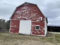 GOT Cabin Fever? - the Pretty Petunia
