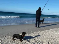 Farm House Accommodation Northern end of the Bay of Fires 5 mins from Mt Willian