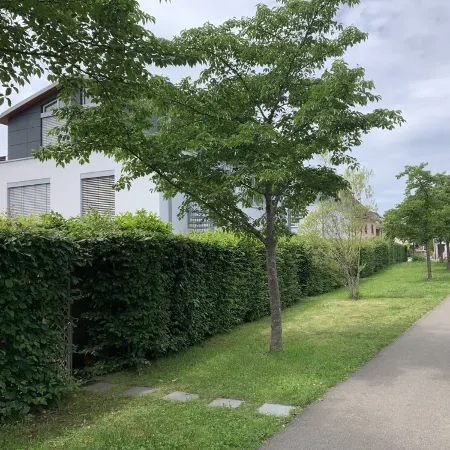 Beautiful Apartment with Parking Space