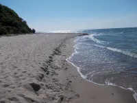 A Cottage, Traditional, As You Would Expect on the Island of Rügen! Hotels in Dranske