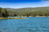 Mountain retreat-with deck, grill and outdoor fun-easy 3.4 miles to ski lift!