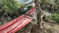House with sea view - Homestays
