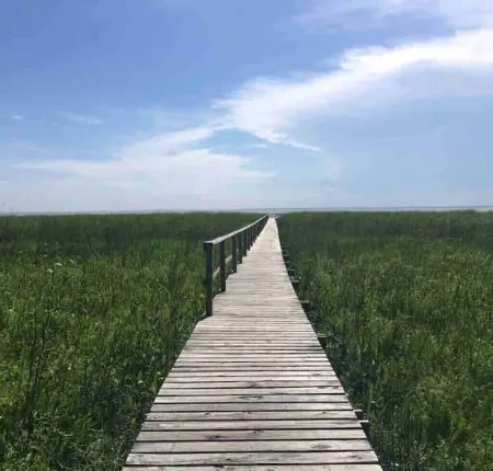 1147 NEW Cozy 2 Bedroom Condo on Mobile Bay