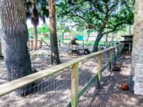 Hatch Life in Steinhatchee Landing Hotels in Steinhatchee