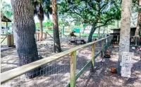 Hatch Life in Steinhatchee Landing