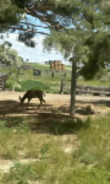 Quiet,, tranquil, nature, side by sideing , fishing,