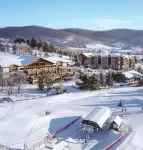Not Your Everyday Mini Chalet, foot of Holiday Valley Resort! Walk to Downtown