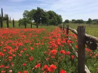 Lovely and typical farmhouse in the heart of Chianti