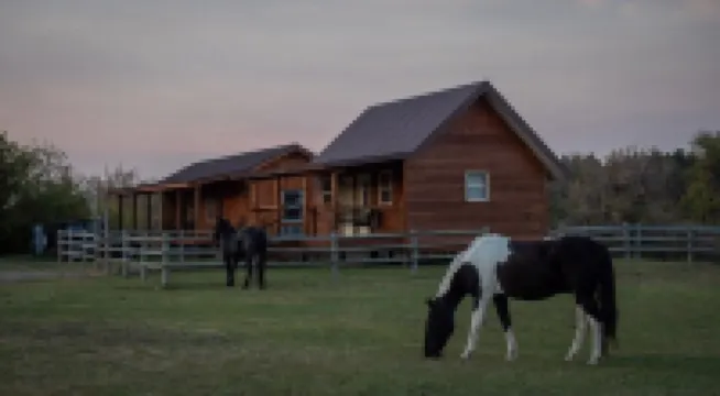 Kara Creek Queen Bed Cabin #9