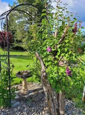 Private country home, Mt. Hood view, hot tub, full kitchen, business class Wi-Fi Hotels near Molalla Assembly of God