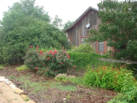 Peaceful setting 10 minutes to New Braunfels, San Marcos or Seguin