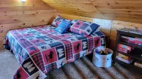 Cabin on a private lake near ATV trails