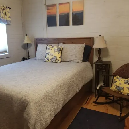 The River Joy - Amazing Riverfront Cabin in Franklin NC