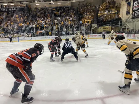 Up North Luxury w/Unmatched Charm! 2 miles to MTU! Отели в г. Ханкок