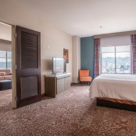 Hilton Garden Inn Mankato Downtown