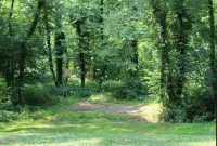 The Wooded Retreat - 홈스테이