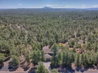 Cabin On NAT'L FOREST! LAKE & CREEK minutes away!