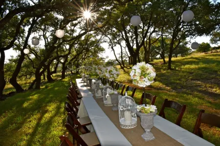 11 acre Hill Country Retreat with a 2000 sq ft deck. Отели рядом с достопримечательностью «Ian's Chapel at Camp Lucy»