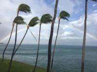 Super Luxury, Direct Oceanfront, 20 yards From Ocean, Whale Watchers Paradise
