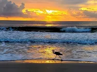 1,500 sq/ft retro style 3 bedroom 2 bath king bed Big Rig parking. Garage!