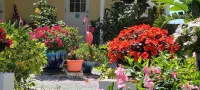 Beachfront Cottages (Patio) at Beautiful Sandy Shores on Gulf of Mexico