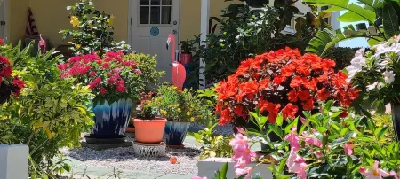Beachfront Cottages (Patio) at Beautiful Sandy Shores on Gulf of Mexico