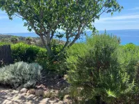 House sea view Palombaggia Các khách sạn gần Palombaggia