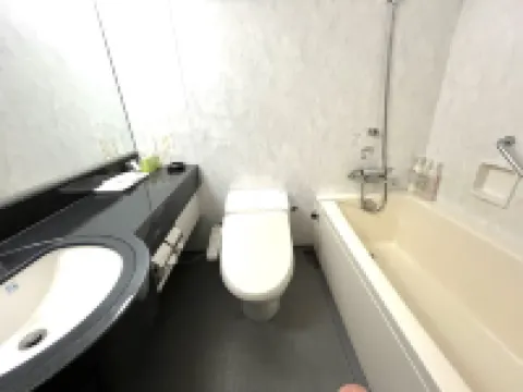 ニュービジネスホテル アルファー 倉吉のホテル